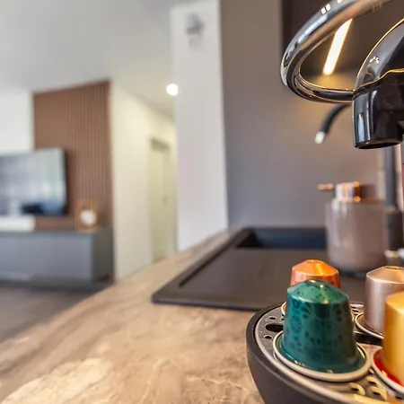 Urban Plaza Mountain View Luxury Retreat Apartment Brasov