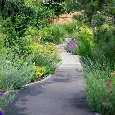 Urban Plaza Mountain View Luxury Retreat Daire Braşov