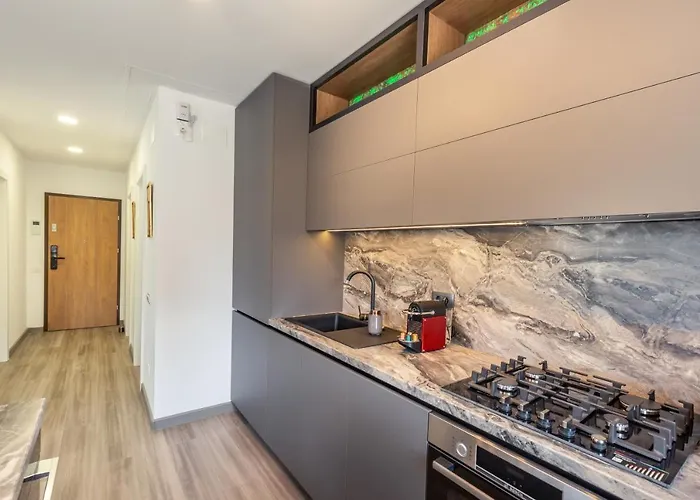 Urban Plaza Mountain View Luxury Retreat Daire