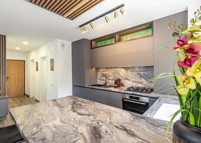 Urban Plaza Mountain View Luxury Retreat * Braşov